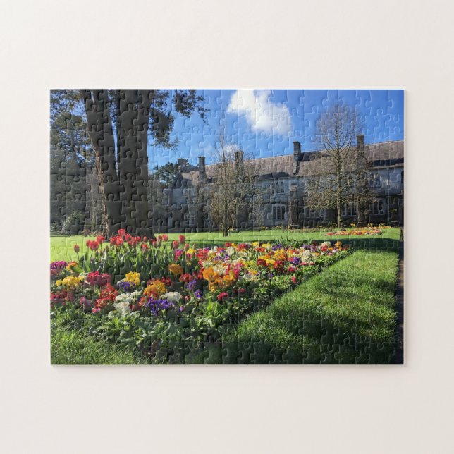 University College Cork Ireland Puzzle (Horizontal)