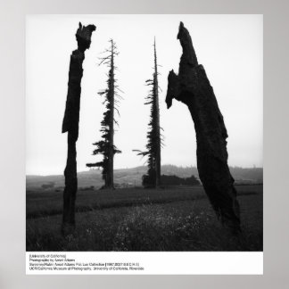 University of California by Ansel Adams Poster