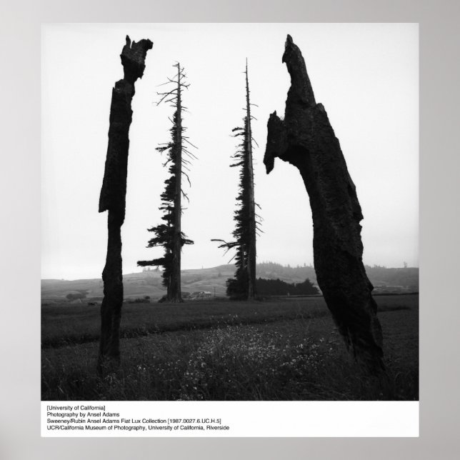 University of California by Ansel Adams Poster (Front)