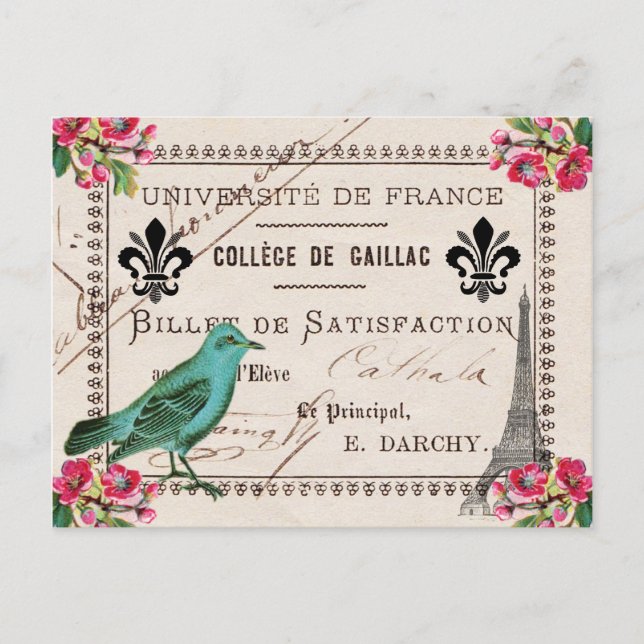 University of France Vintage French Postcard (Front)