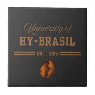 University of Hy-Brasil, Est. 1325 Tile
