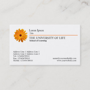 University of Life - Marigold, Orange Rule Business Card