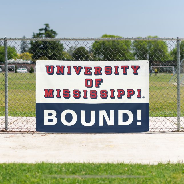 University of Mississippi | Block Type Banner (Insitu)