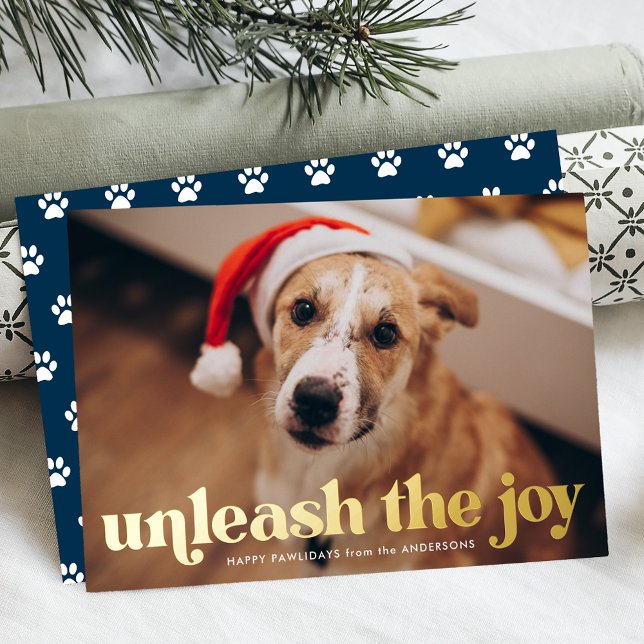 Unleash the Joy Navy Dog Photo (Creator Uploaded)