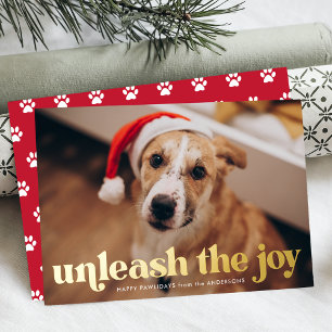 Unleash the Joy Red Dog Photo