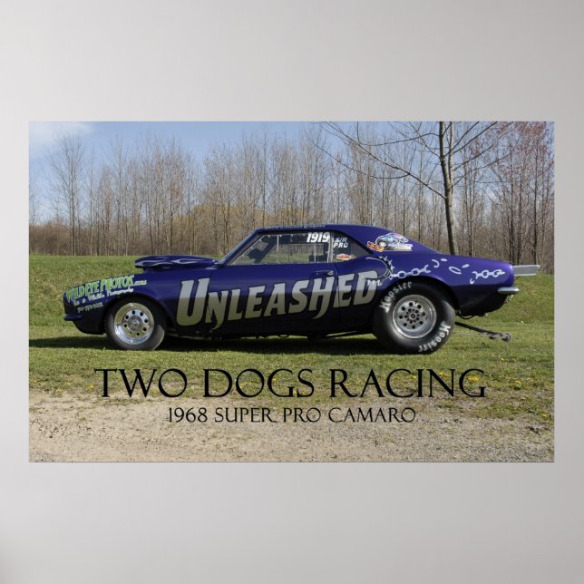 Unleashed Super Pro Drag Car Poster (Front)