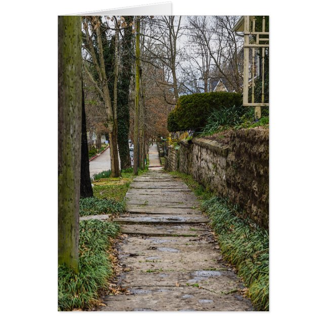 Unlevel Pathway (Front)