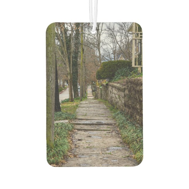 Unlevel Pathway Car Air Freshener (Back)