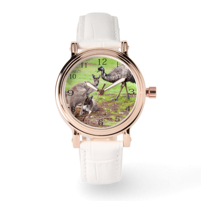 Unlikely Pals: Australian Kangaroo And Emu,  Watch (Front)