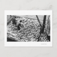 Unloading Salmon from Fishing Boats Photograph