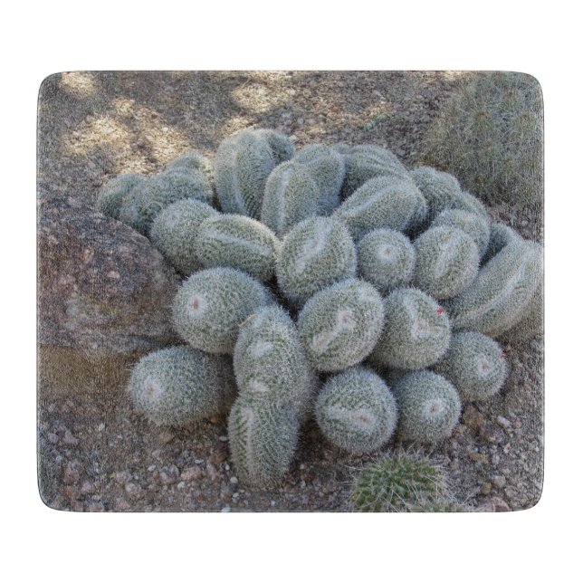 Unnamed Cactus Cutting Board (Front)
