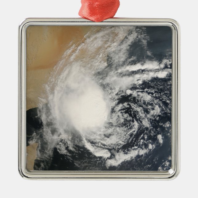Unnamed Tropical Cyclone Metal Tree Decoration (Front)