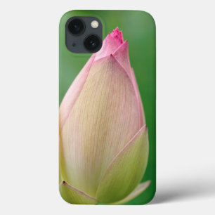 Unopened Water Lily Bulb, Durban Botanical iPhone 13 Case