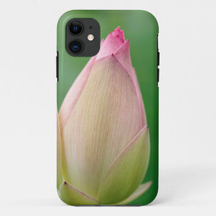 Unopened Water Lily Bulb, Durban Botanical iPhone 11 Case