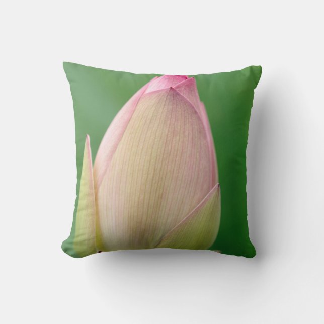 Unopened Water Lily Bulb, Durban Botanical Cushion (Front)