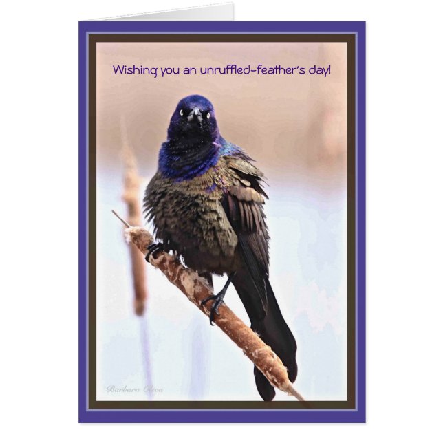 Unruffled-Feather's Day (Front)