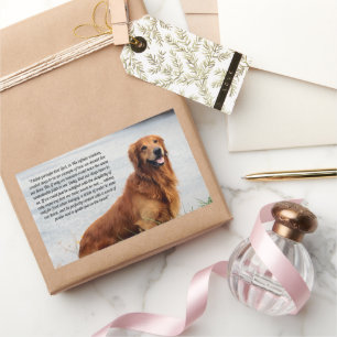 Unshakeable Faith  Inspirational Rectangular Sticker