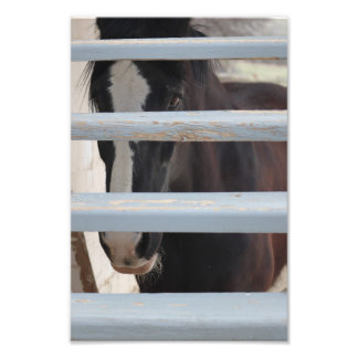 Unspoken Bond Photo Print