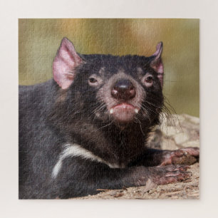 Untamed Spirit Tasmanian Devil Jigsaw Puzzle