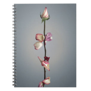Until the last petal... notebook