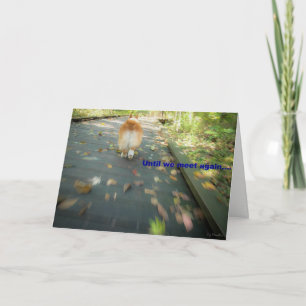 Until we meet again pet sympathy card