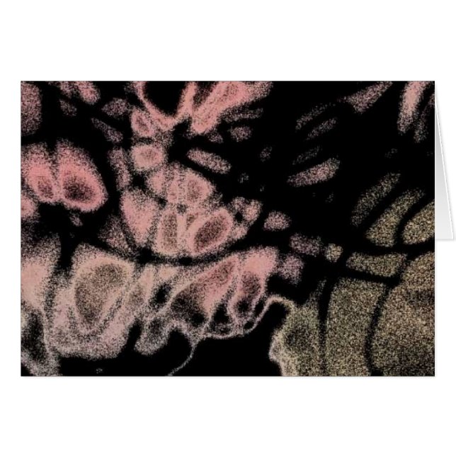 Untitled-5 (Front Horizontal)