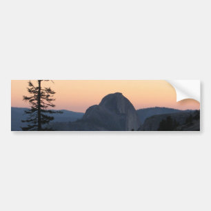 Untitled Bumper Sticker