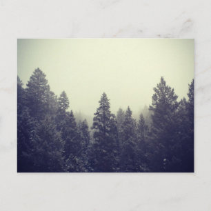 Untitled III Postcard