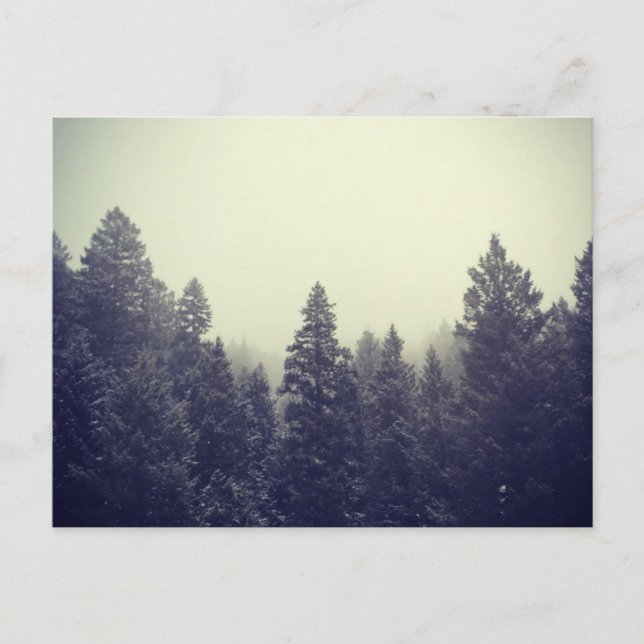 Untitled III Postcard (Front)