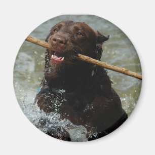 Untitled Magnet