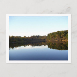 Untitled Postcard