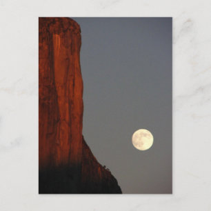 Untitled Postcard