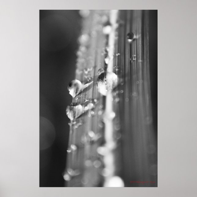 Untitled Poster (Front)