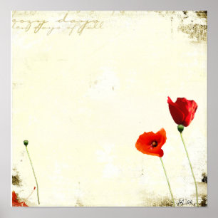 untitled poster