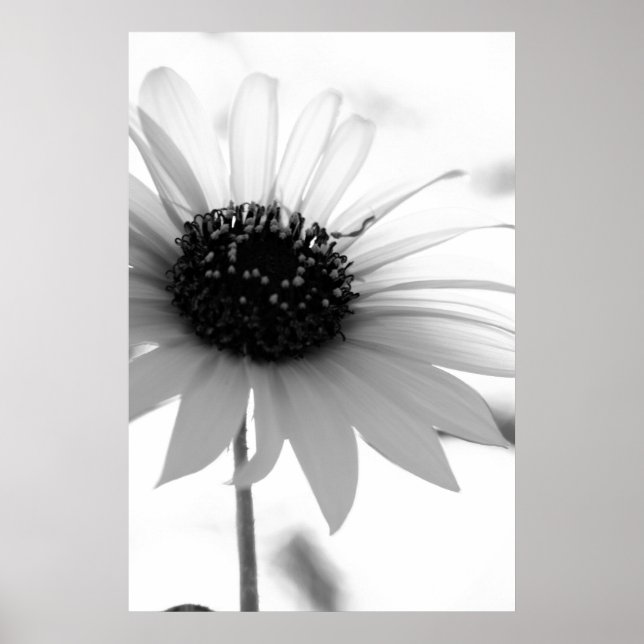 Untitled Poster (Front)