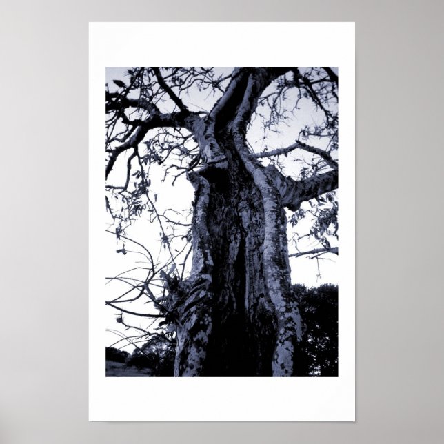 Untitled Poster (Front)