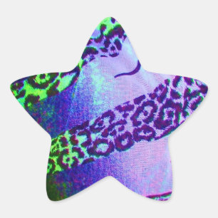 Unusual Leopard Print in Tropical Colours Star Sticker