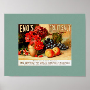 Unusual VINTAGE FRUIT & FLORAL ENO'S FRUIT SALT Poster
