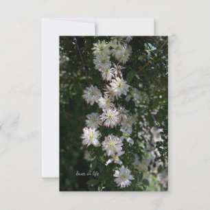 Unusual While Clematis Card