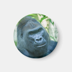 Unwavering Strength Silverback Gorilla Kito Magnet