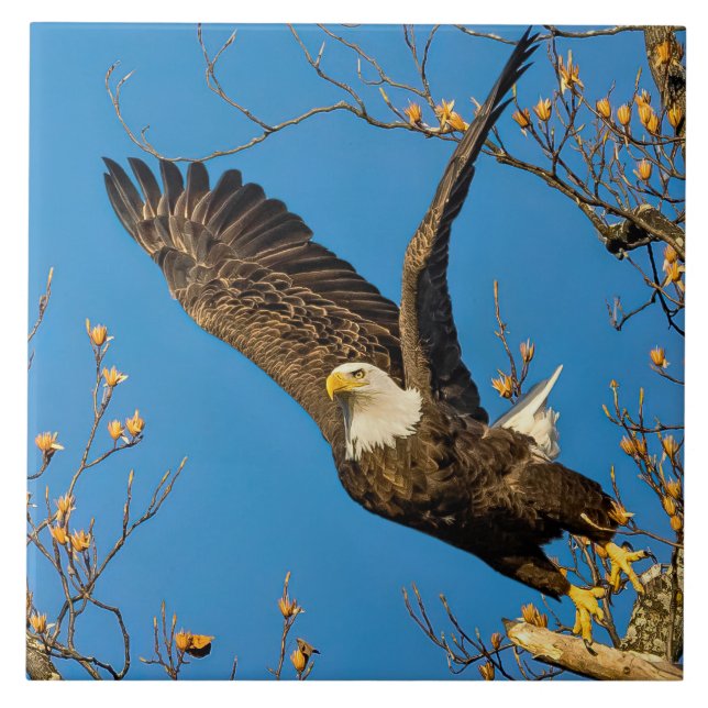 Up And At 'Em Tile (Front)