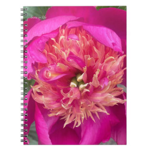 Up-close Hot Pink Peony Notebook