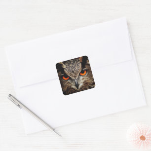 Up Close Owl with Orange Eyes Square Sticker