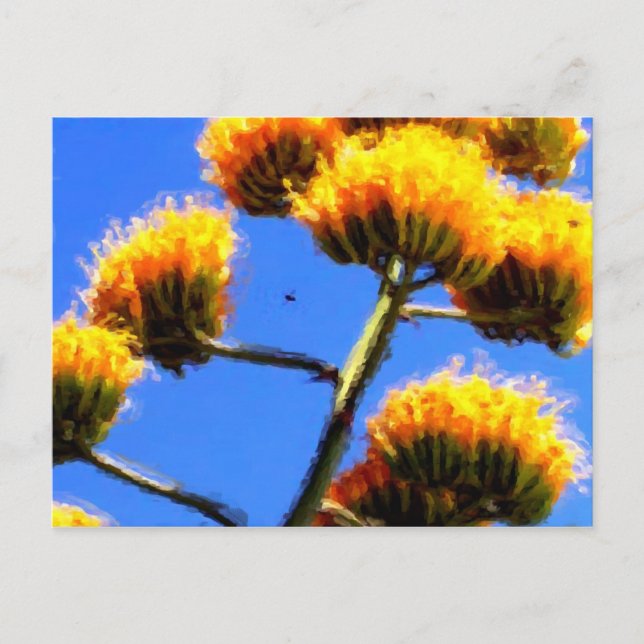 Up High postcard (Front)