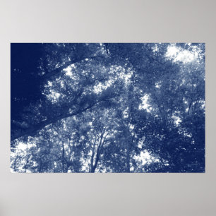 Up in the Trees - Cyanotype Effect Poster