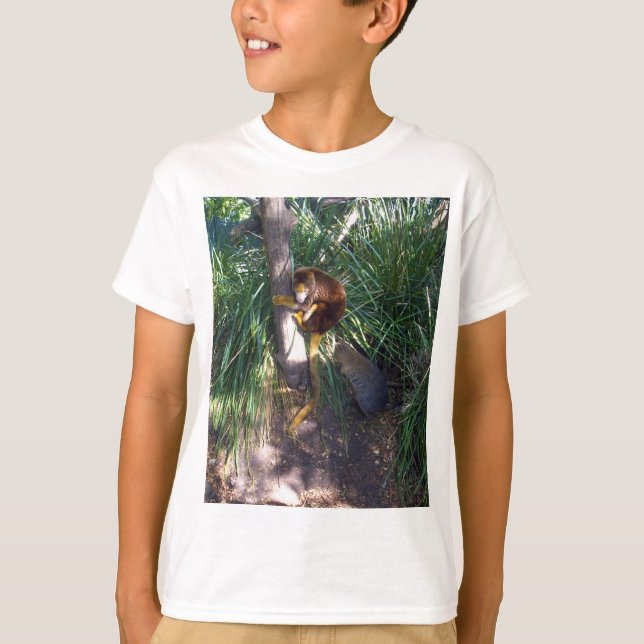 "Up in Trees: An Australian Tree Kangaroo Climbs T-Shirt (Front)