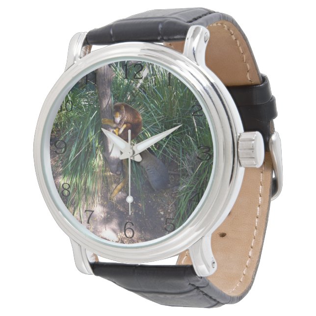 "Up in Trees: An Australian Tree Kangaroo Climbs Watch (Angled)