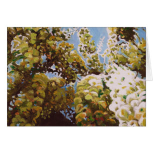 Up into wisteria 2011