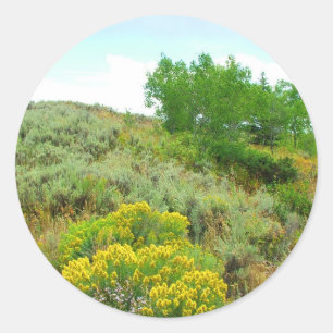 Up the hill,grand teton national park. classic round sticker