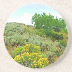 Up the hill,grand teton national park. coaster